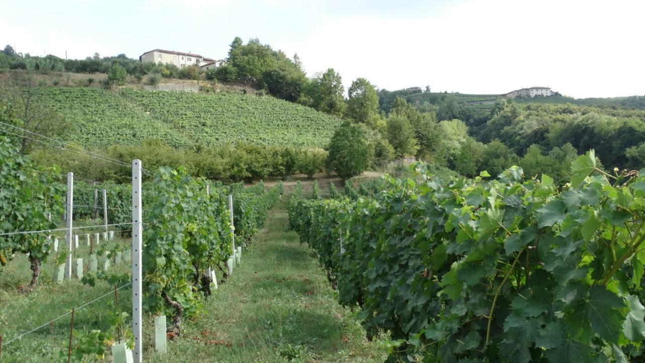 Corte Di Langa Cossano Belbo Buitenkant foto